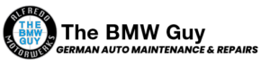The BMW Guy Main Logo footer