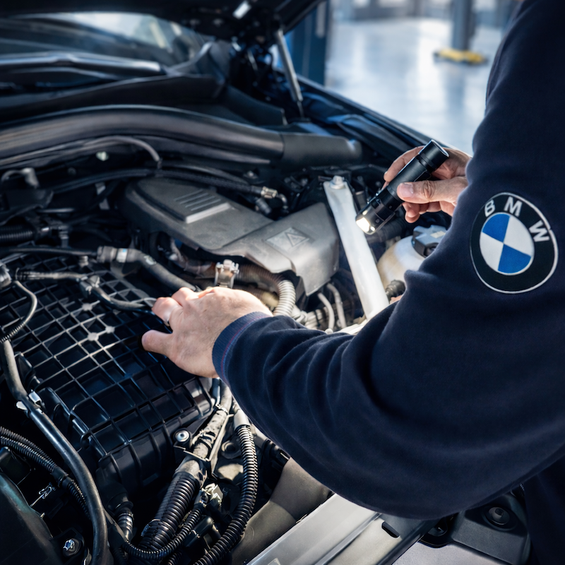 Mechanic looking at MINI engine.